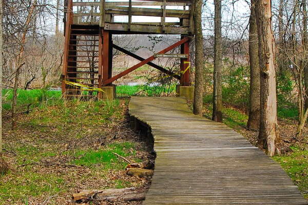 Trails in Lord Stirling Park