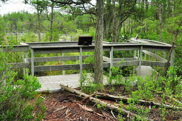 Found the boardwalk!