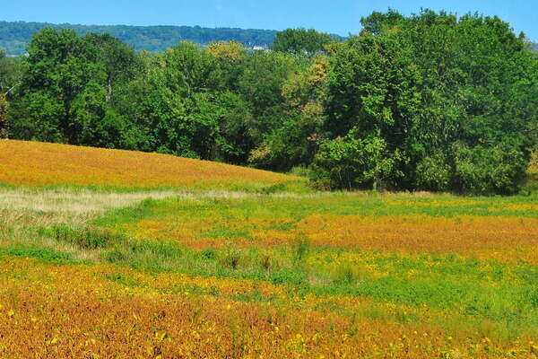 Scenic ride on the Black River and Western Railroad