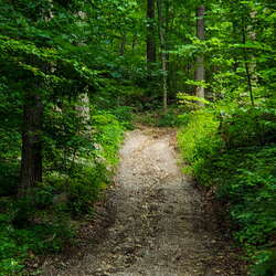 Hiking Jenny Jump - 08/27/2018