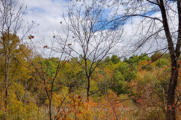 Fall HIking in Lord Sitrling Park