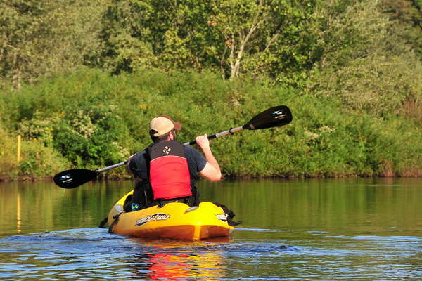 Downstream on the Metedeconk - 1