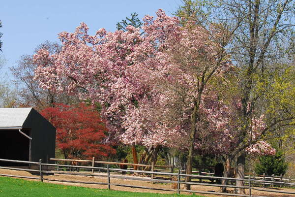 Lord Stirling Stables