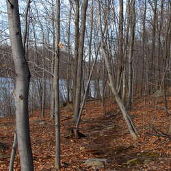 Long Pond Ironworks State Park