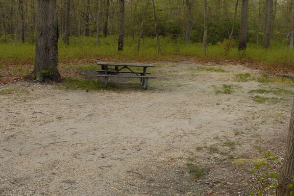 080508-100-allaire-campground.jpg