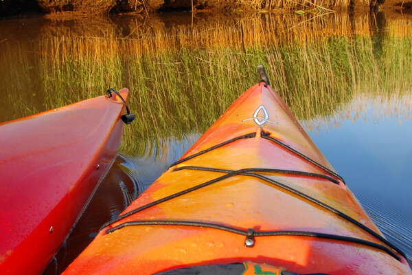 Manasquan River Wildlife Management Area