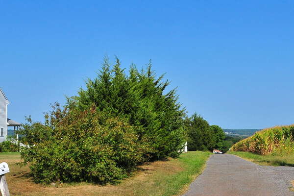 Scenic ride on the Black River and Western Railroad
