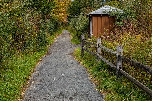 Fall HIking in Lord Sitrling Park