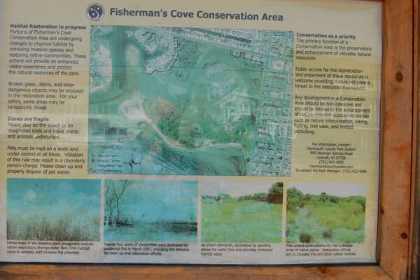 Fishermans Cove, Manasquan