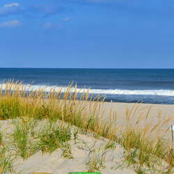 Island Beach State Park