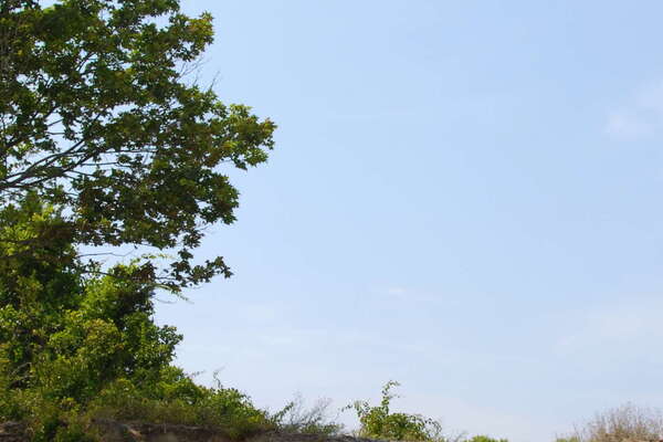 Fishermans Cove, Manasquan