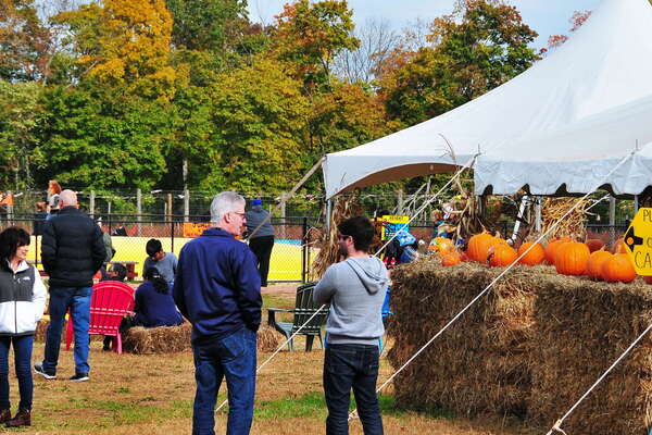Snyders Farm Fall Festival - 2015