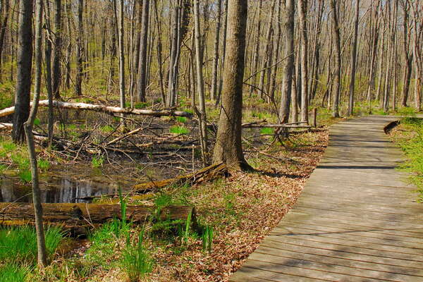 Trails in Lord Stirling Park