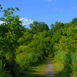 John A. Roebling Park