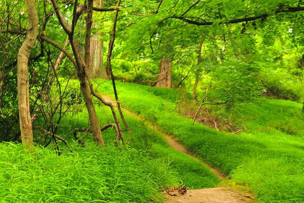 Very cool small, rolling hills in this area.