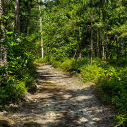 A Summer Walk Through FREC (2018) - 07/30/2018