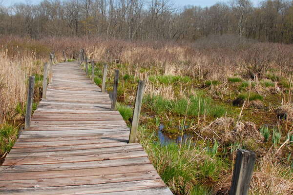 Trails in Lord Stirling Park