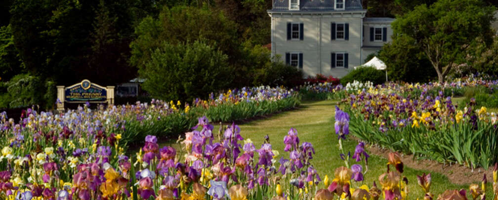 Presby Memorial Iris Gardens | 474 Upper Mountain Ave, Upper Montclair