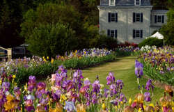 Presby Memorial Iris Gardens