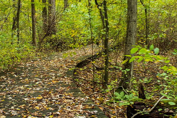 Fall HIking in Lord Sitrling Park