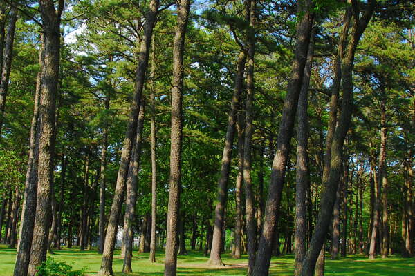 Windward Beach Park, Brick, NJ