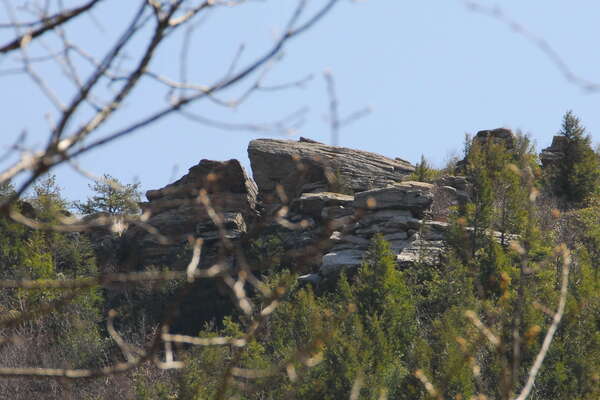 Glen Onoko Falls and Access Point