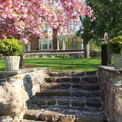 Reeves-Reed Arboretum