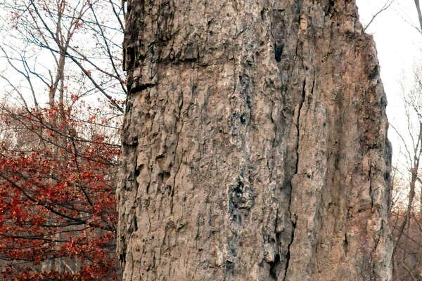Columcille Megalith Park