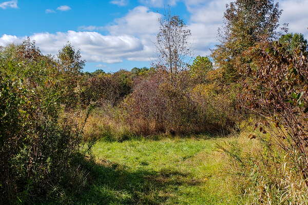 Fall HIking in Lord Sitrling Park