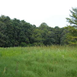 Great Swamp Outdoor Education Center