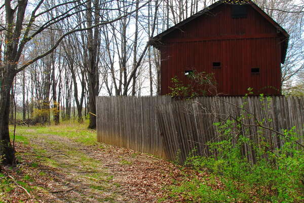 Trails in Lord Stirling Park