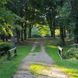 New Parks And Places May, 2020