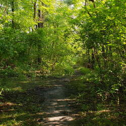 Slade Dale Sanctuary