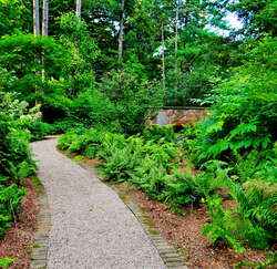 Frelinghuysen Arboretum
