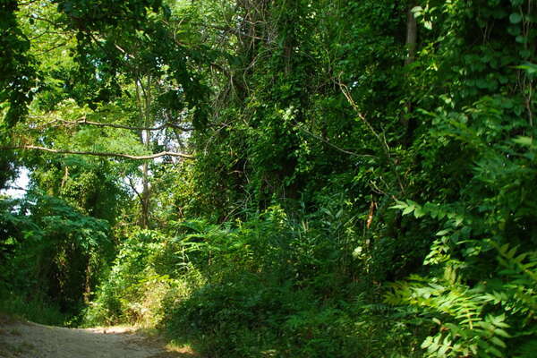 Fishermans Cove, Manasquan