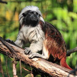 Featured Place: Cape May County Park and Zoo