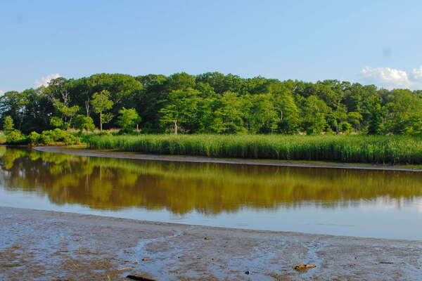 Manasquan River Wildlife Management Area
