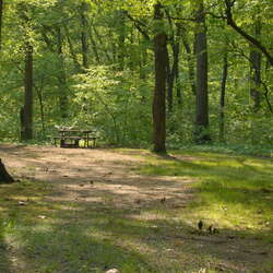 Cheesequake Campground
