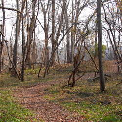 Late November hike through Perrineville Lake Park (2008) - 11/28/2008