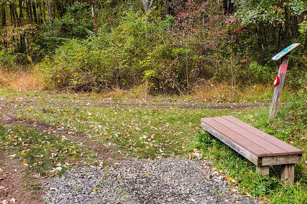 Fall HIking in Lord Sitrling Park