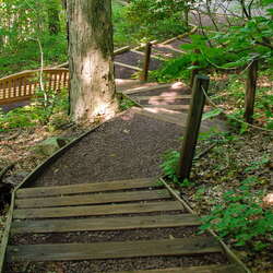 Bowman's Hill Wildflower Preserve