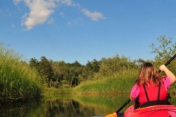 Downstream on the Metedeconk - 4