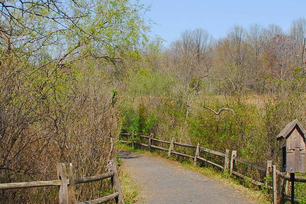 Trails in Lord Stirling Park