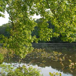 Photos of: Thompson Grove Park (2008) - 09/24/2015