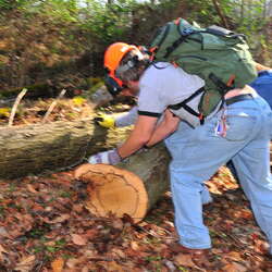 Trail Work in Mercer CP - Sandy Cleanup - Nov 11, 2012 - 11/15/2012