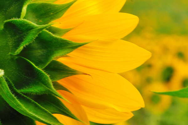 One of many.. still special though..