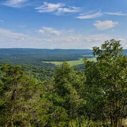 Jenny Jump State Forest