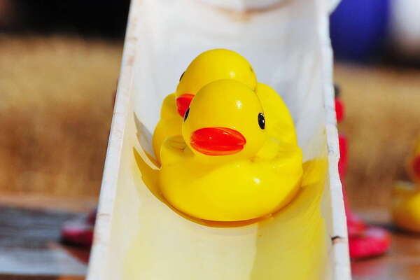 Snyders Farm Fall Festival - 2015