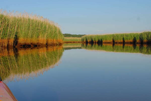 Manasquan River Wildlife Management Area