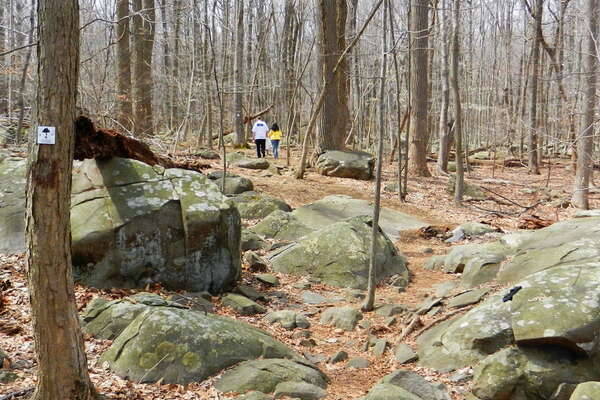 110402-31-hiking-sourland-mountain.jpg